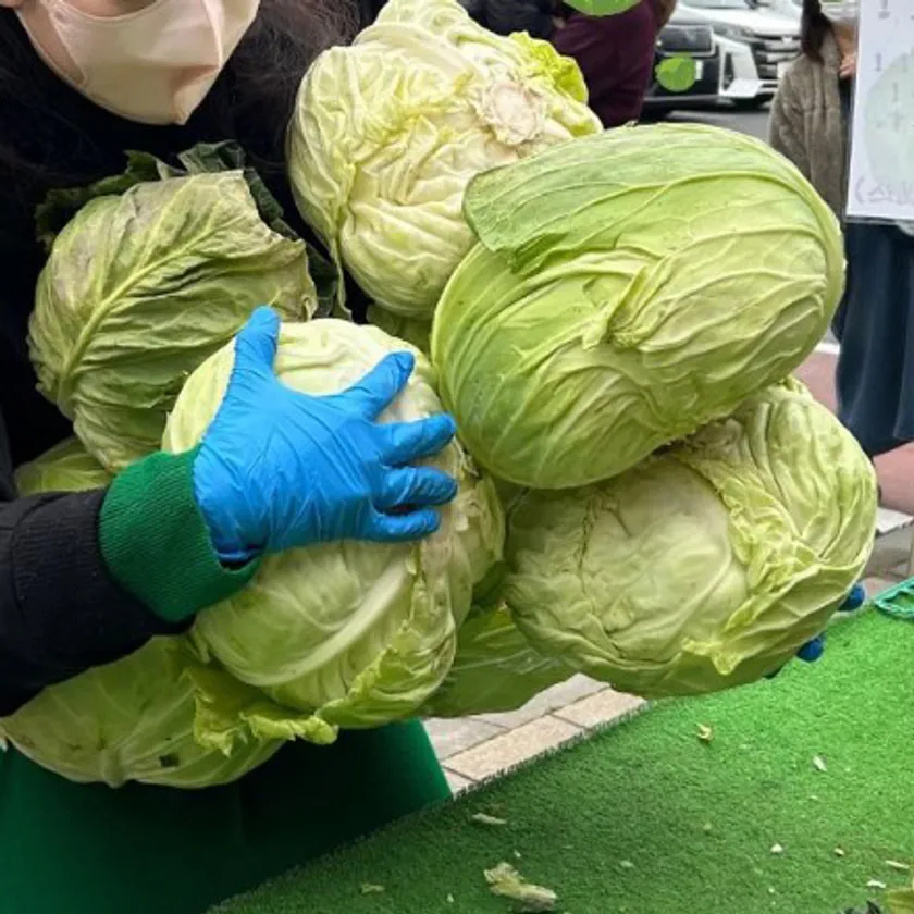 キャベツ抱え込み(3/8(日)のみ)