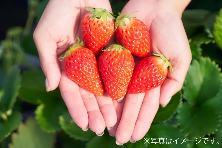 いちご盛り放題(3/21(土)のみ)