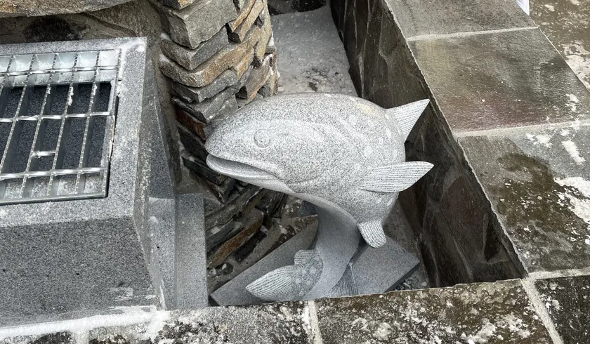 大王イワナ