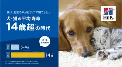 ペットの「生涯の半分がシニア期」の時代へ