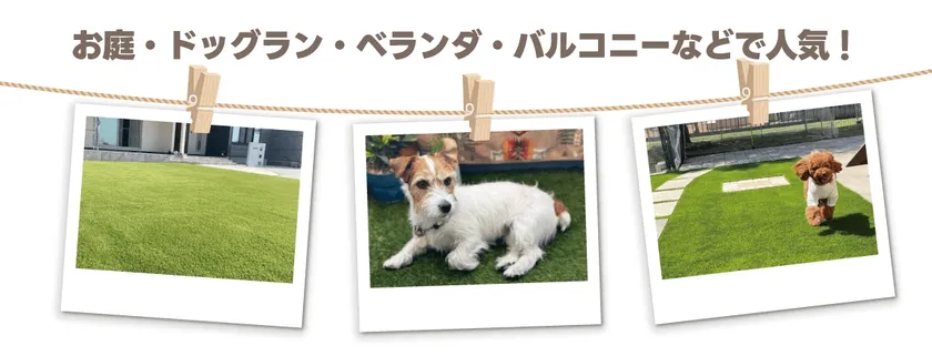 人工芝の使用例