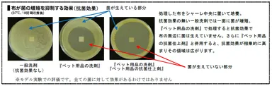 布が菌の増殖を抑制する効果(抗菌効果)