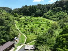 墓苑全体のようす