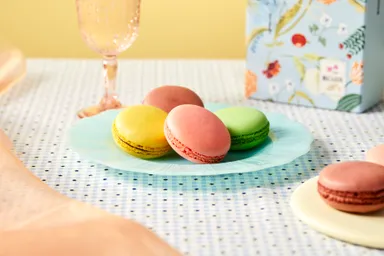 彩りマカロン　イメージ