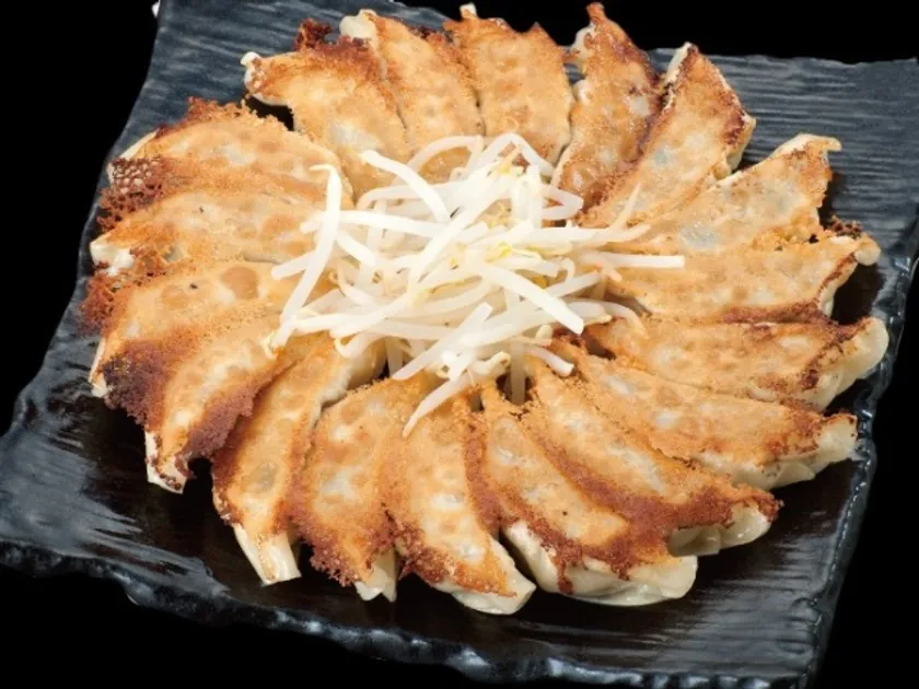 【静岡県】浜太郎/浜松餃子