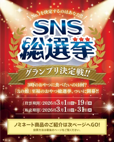 SNS総選挙(1)