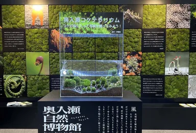 東京・御徒町に奥入瀬の森が出現――移動博物館を期間限定開催