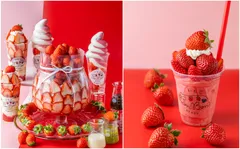 季節限定メニュー　※写真はイメージです