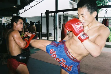 うつ病をノックアウト