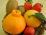 ビタミンたっぷり朝食を彩る旬の果物