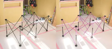 ブラック・パープル