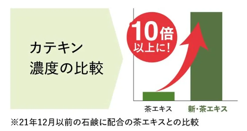 カテキン濃度の比較