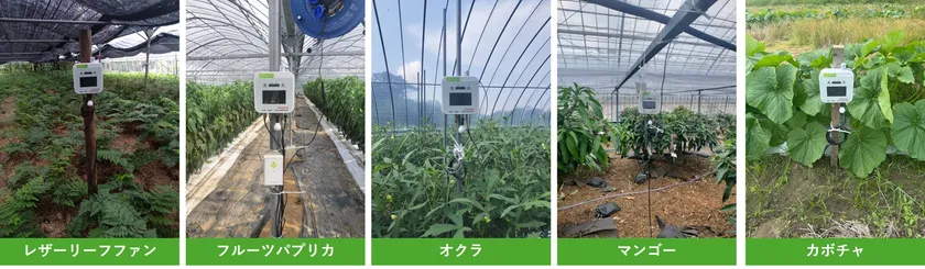 南種子町IoTセンシング機器設置の圃場