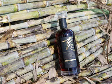 HAGUKUMUと自社サトウキビ