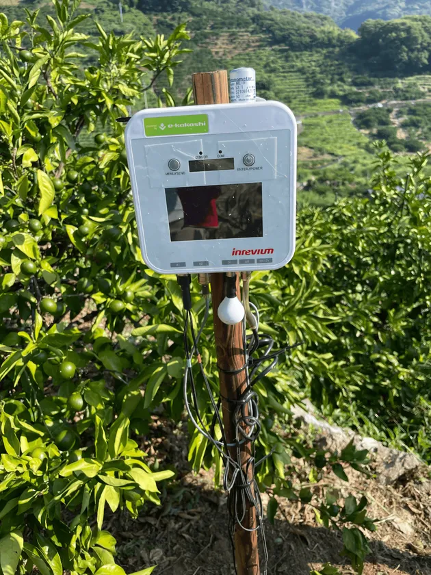 かんきつほ場に設置されたe-kakashiのゲートウェイ