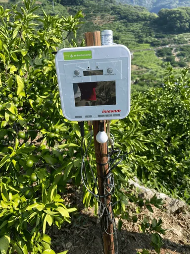 かんきつほ場に設置されたe-kakashiのゲートウェイ