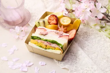 〈春咲き誇る桜BOX〉