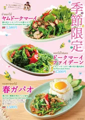 菜の花×本格タイ料理 人気3メニュー