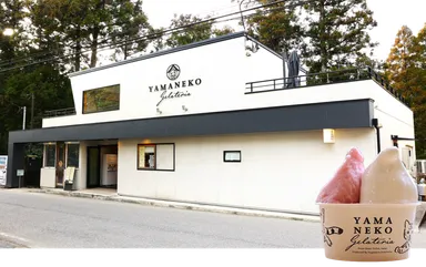 山里のジェラテリア山猫