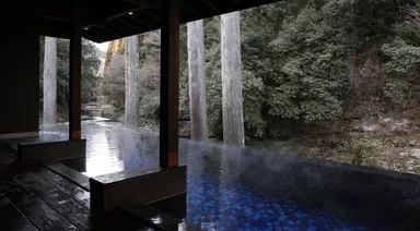 プー露「FUKASAWA」