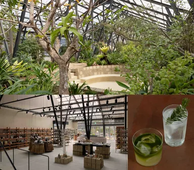 大多喜有用植物苑