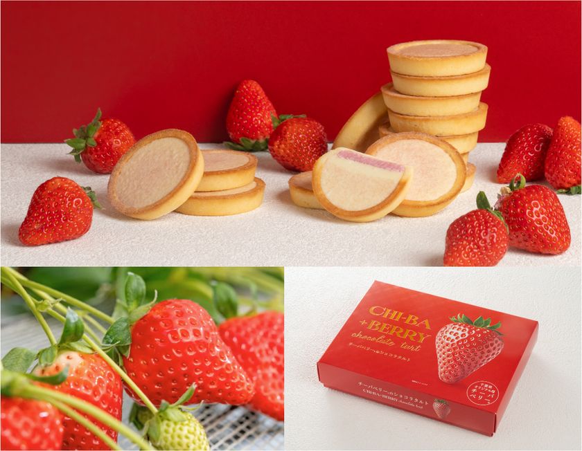 10年かけて誕生したいちご「チーバベリー」をつかった
甘酸っぱい苺が紡ぐ千葉の新商品！
― 「チーバベリーショコラタルト」2026年3月6日新発売 ―