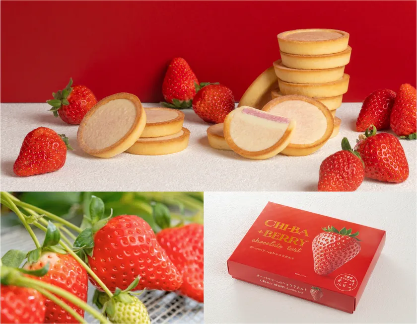 チーバベリーショコラタルトが誕生