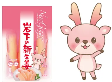 左：岩下の新生姜 商品単品／右：イワシカちゃん