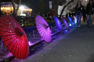 和傘イルミネーション