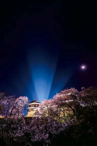 上田城と夜桜