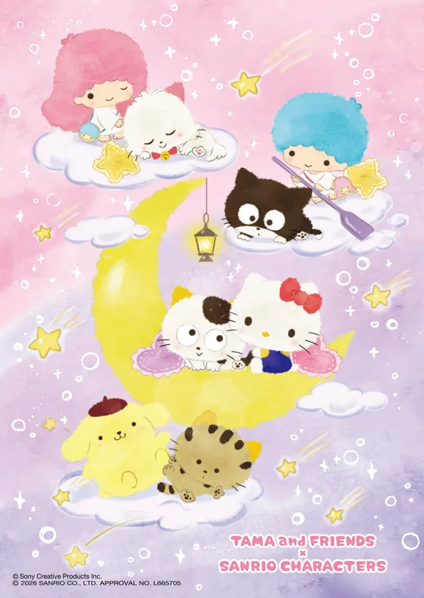 タマ＆フレンズ サンリオキャラクターズ 第3弾 コラボレーションアート(夜空)