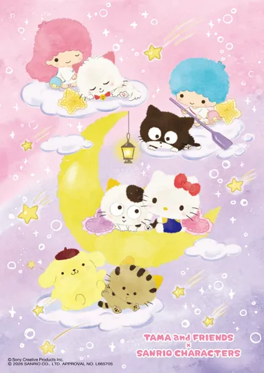 タマ＆フレンズ サンリオキャラクターズ 第3弾 コラボレーションアート(夜空)