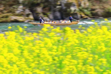 長瀞ラインくだり　イメージ2