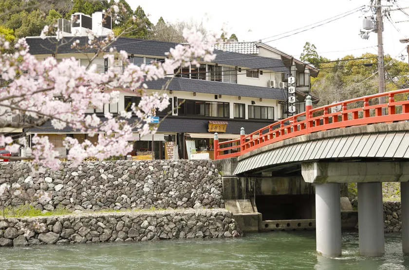桜満開の喜撰橋