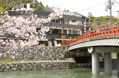 桜満開の喜撰橋