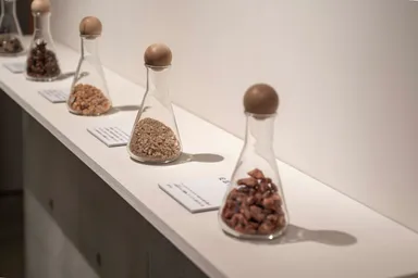 お香の原料(2025年2月「言葉でつなぐ、私と香り」＠下北沢BONUSTRACKGALLERY)