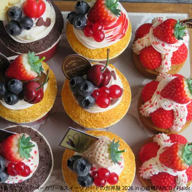 スイーツアートの世界展 展示作品：Plaisir(2)