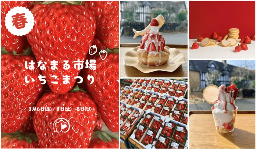 「はなまるいちごまつり」