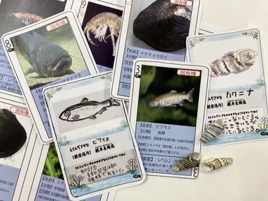 成安造形大学オリジナルカード作り(イメージ)