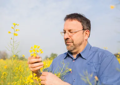 厳選された菜種を使用1