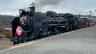 過去のSL桜沢みなのバースデーエクスプレスの様子2