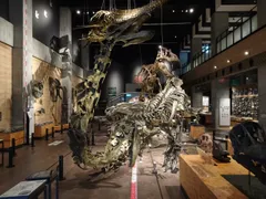 御所浦恐竜の島博物館(内観)