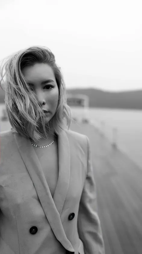 Artist fanfan