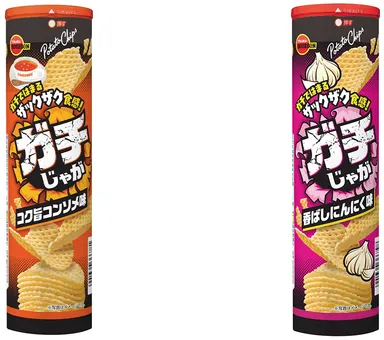 リニューアルするハードポテトチップス“ガチじゃが”