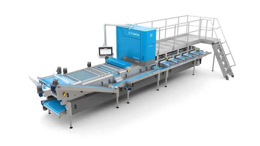 TOMRA 5Sブルーベリー