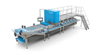 TOMRA 5Sブルーベリー