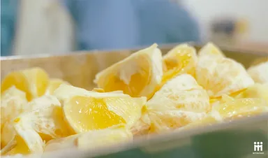 みずみずしい日向夏