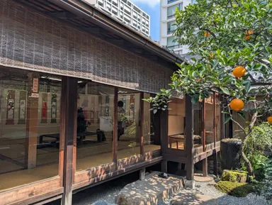 しまだいギャラリー中庭