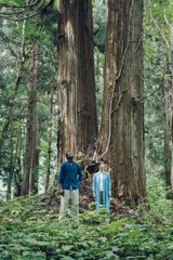 神社上の杉の前にて。