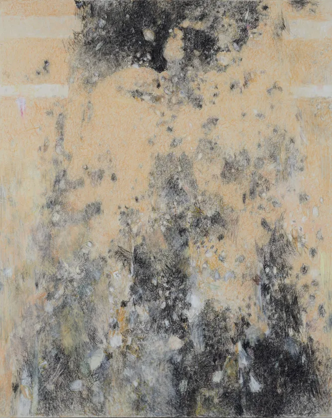 竹内浩一《壁になったネコ》令和8年(2026)　個人蔵